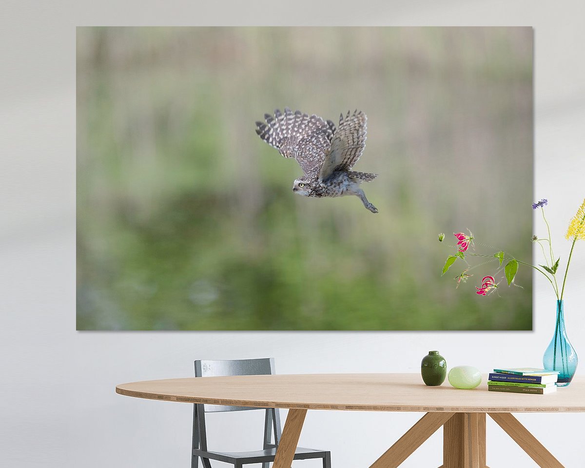 Voorbeeld van het werk in een kamer