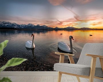 twee zwanen aan de Hopfensee bij zonsondergang van Leo Schindzielorz