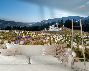Krokusswiese über dem Hündle im Frühling in den Allgäuer Alpen von Leo Schindzielorz