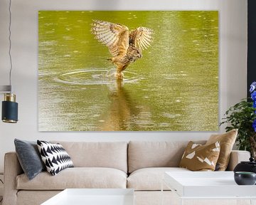 Ein Uhu hängt mit ausgebreiteten Flügeln über einem grünen See mit Spiegelung im Wasser.