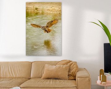 Een Oehoe, de roofvogel vliegt met uitgespreide vleugels  boven een meer. Mooie reflectie in het wat van Gea Veenstra