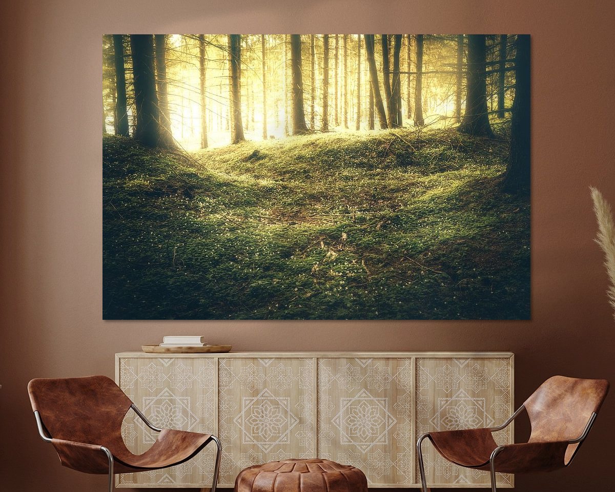 Aperçu de la chambre