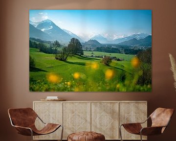 frühlingshafter Blick vom Malerwinkel im Allgäu auf die gesamten Allgäuer Alpen von Leo Schindzielorz