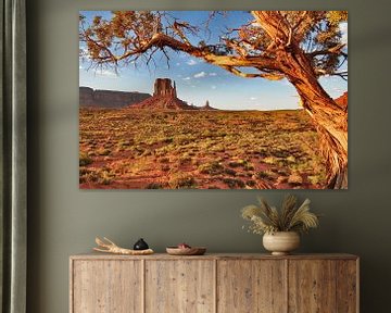 Blick auf Monument Valley Vereinigte Staaten. von Ron van der Stappen