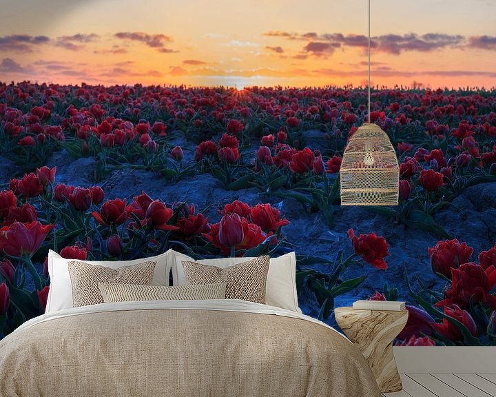 Sfeerimpressie behang: Zonsopkomst boven het tulpenveld. van Willemke de Bruin