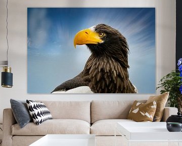 Head of a detailed Steller sea eagle in side view, against a blue and white sky.