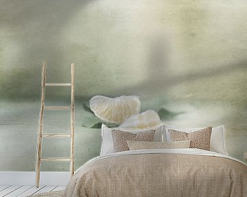 Vintage tangerine by Delphine Devos