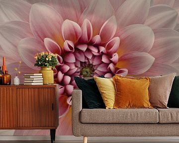 Blush by Richard Urbanski