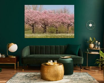 Bloeiende Prunus van Moetwil en van Dijk - Fotografie