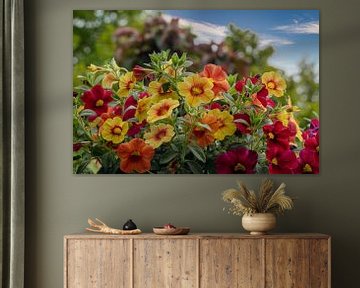 Petunias in bloom in the garden by Jolanda de Jong-Jansen