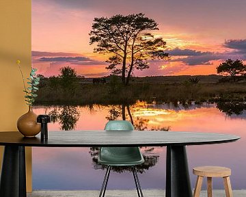 Panorama of a sunset in National Park the Dwingelderveld