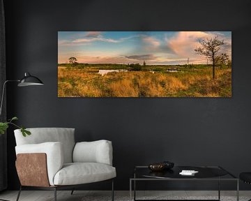 Panorama of National Park Dwingelderveld