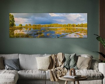 Panorama van  Nationaal Park het Dwingelderveld van Henk Meijer Photography