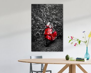 Motor scooter in red on pavement and wall with ivy in black and white as background by Dieter Walther