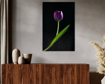 Tulp paars van Atelier Meta Scheltes