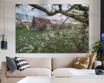 Hangar dans un verger de fruits dans la Betuwe sur Moetwil en van Dijk - Fotografie