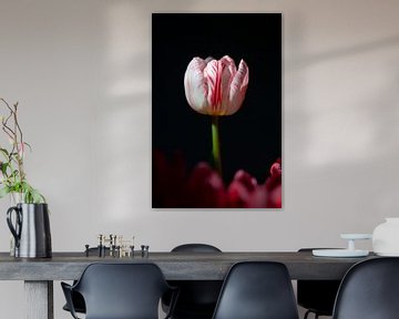 Tulp I van Atelier Meta Scheltes