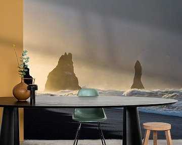 Reynisdrangar by Arnold van Wijk