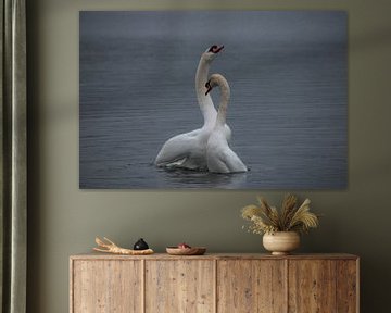 Danse d'accouplement des cygnes sur Jacqueline De Rooij Fotografie