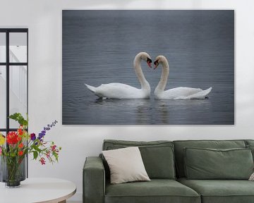 Verliefde zwanen, hartvom van Jacqueline De Rooij Fotografie
