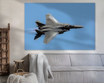 Boeing F-15 Eagle, USAF. van Gert Hilbink