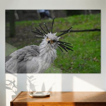 Sekretär Vogel
