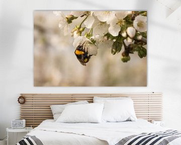 Bee / bumblebee at work by Moetwil en van Dijk - Fotografie