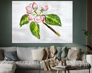Blossom / Spring - Apple Blossom - Aquarelle peinte par VK (Veit Kessler)