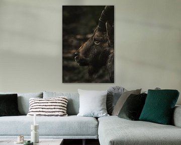 ZIegenbock von Larsphotografie