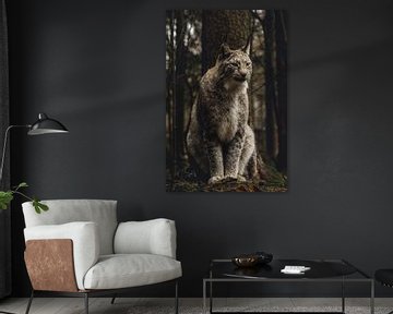 lynx portret