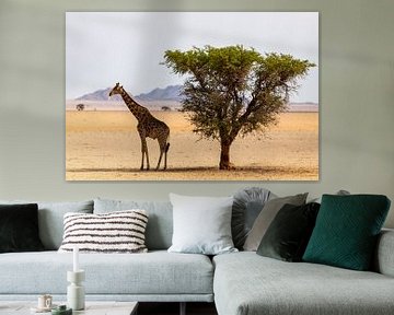 Giraffe bij een boom van Jeroen de Weerd