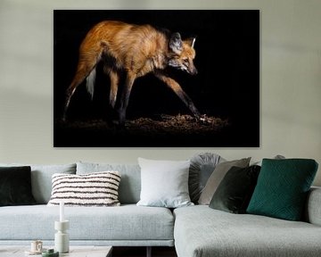 a maned wolf looking like a beast from hell, red hair and long legs in the night, black background by Michael Semenov