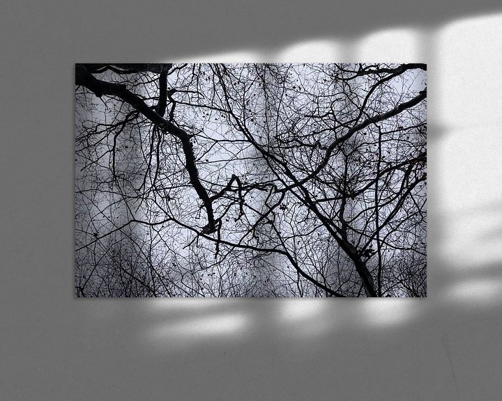Sfeerimpressie: Wirwar van takken van kale bomen in de winter van Margreet van Tricht