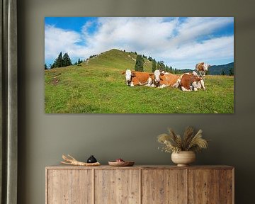 Kudde koeien bij Hirschhörnlkopf Opper-Beieren van SusaZoom