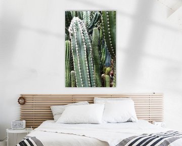Kaktus-Kollektion in verschiedenen Grüntönen. von StudioMaria.nl