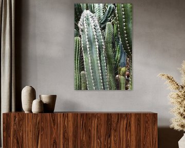 Kaktus-Kollektion in verschiedenen Grüntönen. von StudioMaria.nl
