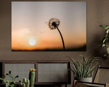 Sonnenuntergang in den Niederlanden mit schönen Pastelltönen von Lindy Schenk-Smit