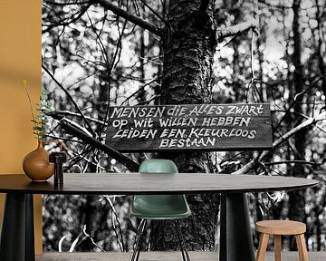 Een kleurloos bestaan (zwart-wit)