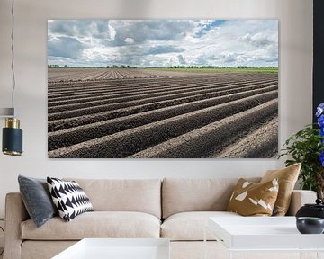 Potato ridges in a Dutch polder landscape by Ruud Morijn