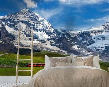 Jungfraubahn, Grindelwald, Switzerland by Adelheid Smitt