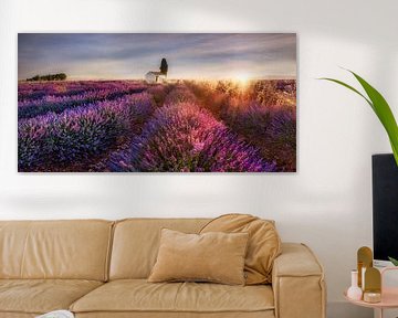 Lavendelveld in de Provence in Frankrijk in het ochtendlicht. van Voss Fine Art Fotografie