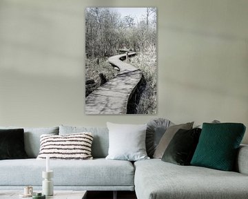 Holzsteg durch Naturschutzgebiet | Niederlande von Photolovers reisfotografie