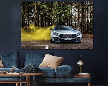 Mercedes-AMG GT R van Bas Fransen