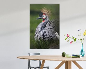 belangrijke gekroonde kraanvogel staat groot tegen een achtergrond van groen, een elegante Afrikaans van Michael Semenov