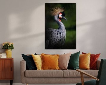 Trotse arrogante vogel gekroonde kraanvogel met vederkroon op donkergroene achtergrond van Michael Semenov