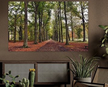 Herfst in lanaken van Goldeneyes