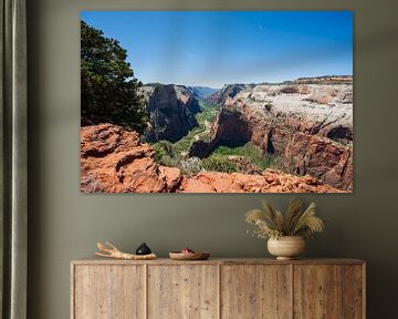 Vue sur le canyon du parc national de Zion sur Nicolas Ros