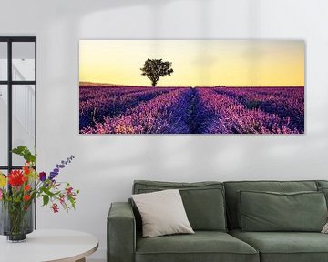 Lavender field by Manjik Pictures