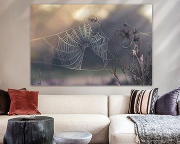 pastel spinnenweb van Tania Perneel