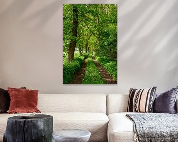 Pfad entlang eines frühlingshaften Waldes mit einer grünen Wiese im Frühling von Sjoerd van der Wal Fotografie